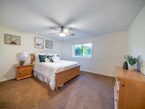 Carpeted bedroom with ceiling fan and ensuite bathroom