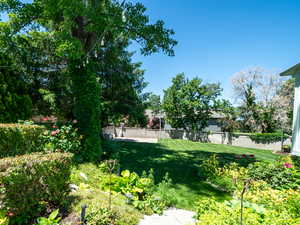 View of yard looking west