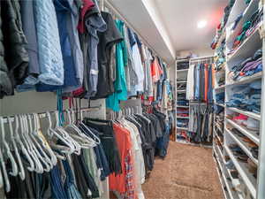 Spacious closet with carpet flooring