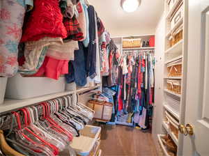 Spacious closet featuring carpet