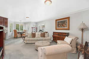 Living room with light carpet and crown molding and high quality plantation shutters