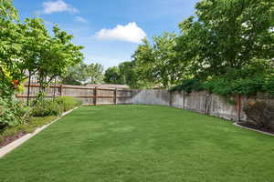 View of yard looking south