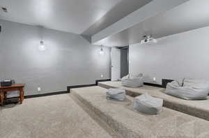 Home theater with carpet flooring