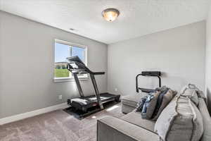 Exercise room featuring a textured ceiling and carpet floors