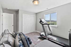 Exercise area with a textured ceiling and carpet floors