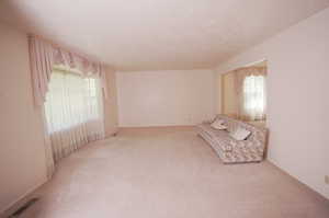 Unfurnished living room featuring a textured ceiling and carpet flooring