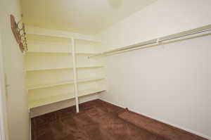 Master Bedroom Walk in closet with carpet flooring