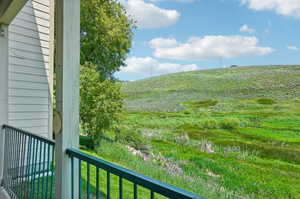 Patio overlooking the nature preserve