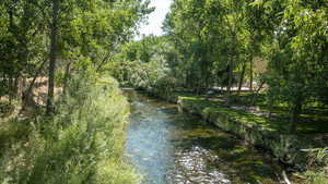 View of water feature