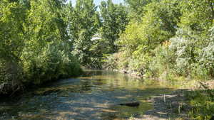 View of water feature