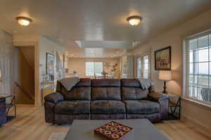 Living room featuring wood-type flooring