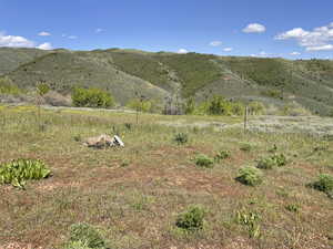 View of property view of mountains