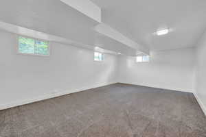 Basement with carpet floors