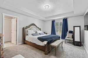 Bedroom featuring a raised ceiling and light colored carpet