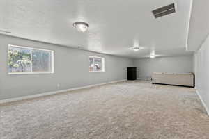 Basement with carpet, plenty of natural light, and a textured ceiling