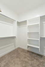 Spacious closet with carpet flooring