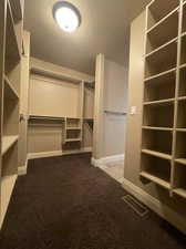 Primary walk in closet with carpet