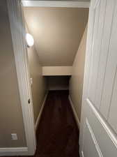 Storage space under stairs with dark colored carpet and vaulted ceiling