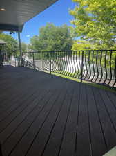 View of Trex deck. metal railing and mature landscaping