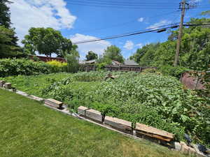 Current view of garden