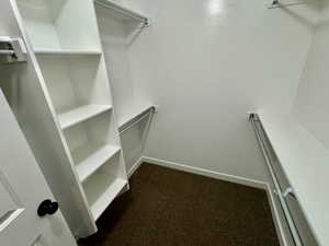 Spacious closet featuring dark colored carpet