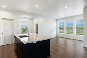 Kitchen featuring a center island with sink, sink, and dark hardwood / wood-style floors