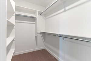 Spacious closet with carpet