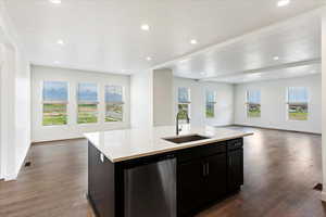 Kitchen featuring an island with sink, a wealth of natural light, wood-type flooring, and stainless steel dishwasher