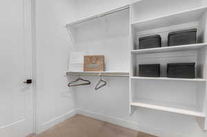 Spacious closet featuring carpet floors