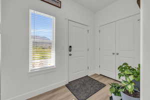 Entryway featuring light hardwood / wood-style floors and a wealth of natural light