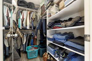 Spacious closet featuring wood-type flooring