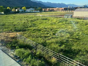 Open field next door with a grazing horses