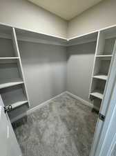 Spacious closet with dark carpet