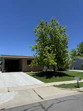 Obstructed view of property with a front lawn and a carport