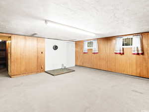 Basement featuring carpet and wood walls