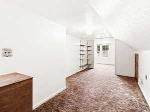 Additional living space with a textured ceiling, carpet floors, and lofted ceiling