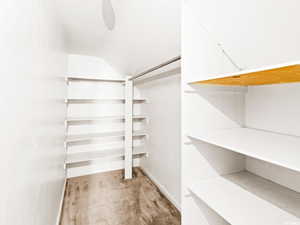 Spacious closet with vaulted ceiling and light carpet