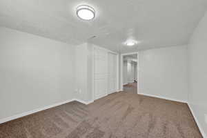 Basement with carpet flooring and a textured ceiling