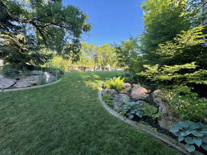 Hosta and fern garden