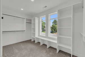 Spacious closet featuring light carpet