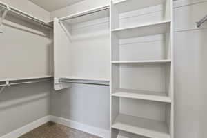 Spacious closet featuring carpet