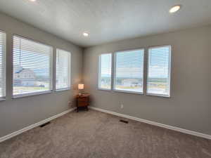 Spare room featuring a healthy amount of sunlight, carpet flooring, and a textured ceiling