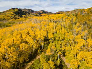 Property view of mountains