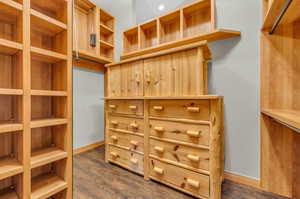 Primary Closet with Built-Ins