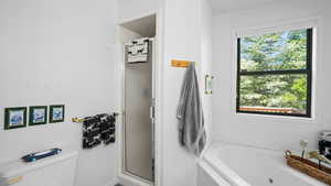 Bathroom featuring plenty of natural light, separate shower and tub, and toilet