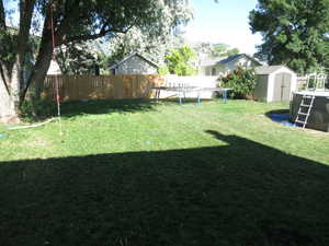 View of yard with a shed