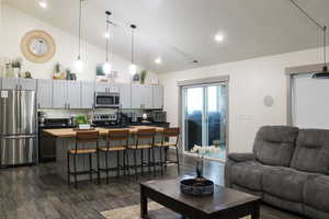 Living room featuring sink, lofted ceiling, and dark hardwood / wood-style floors