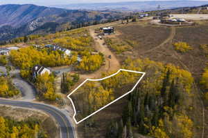 Bird's eye view with a mountain view