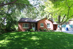 Ranch-style house featuring a front yard