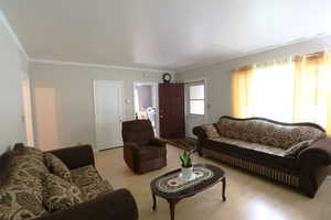 Living room featuring crown molding and hardwood / wood-style flooring